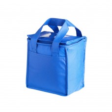 BT 02099 - Bolsa Térmica 05 litros