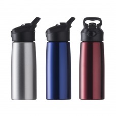 12910 - Squeeze Inox 700ml